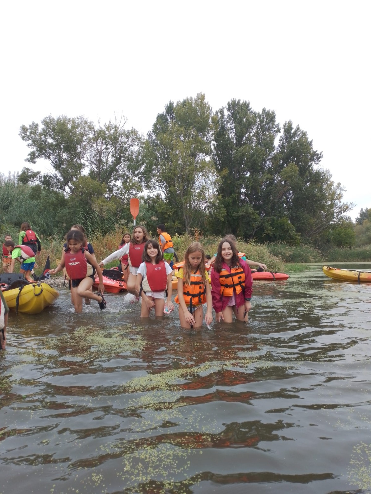 WhatsApp Image 2022-10-14 at 07.27.42 (15)