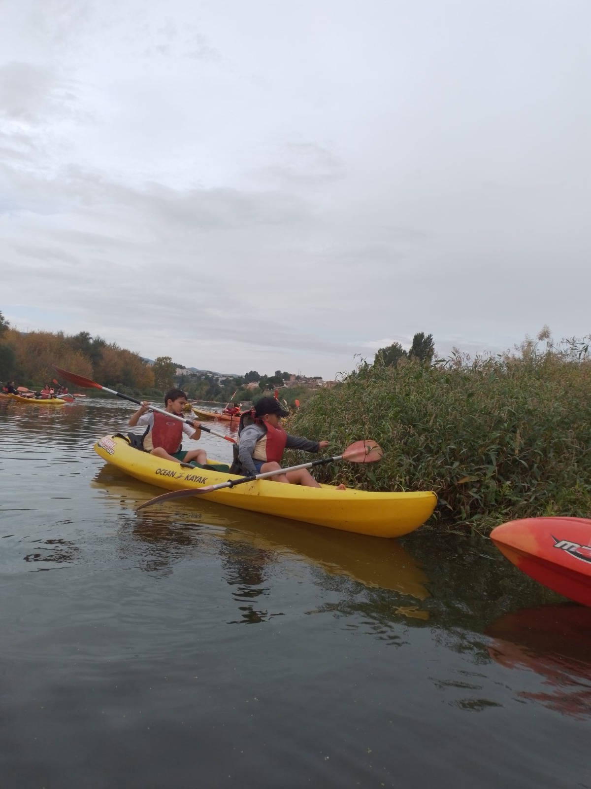 WhatsApp Image 2022-10-14 at 07.27.42 (2)