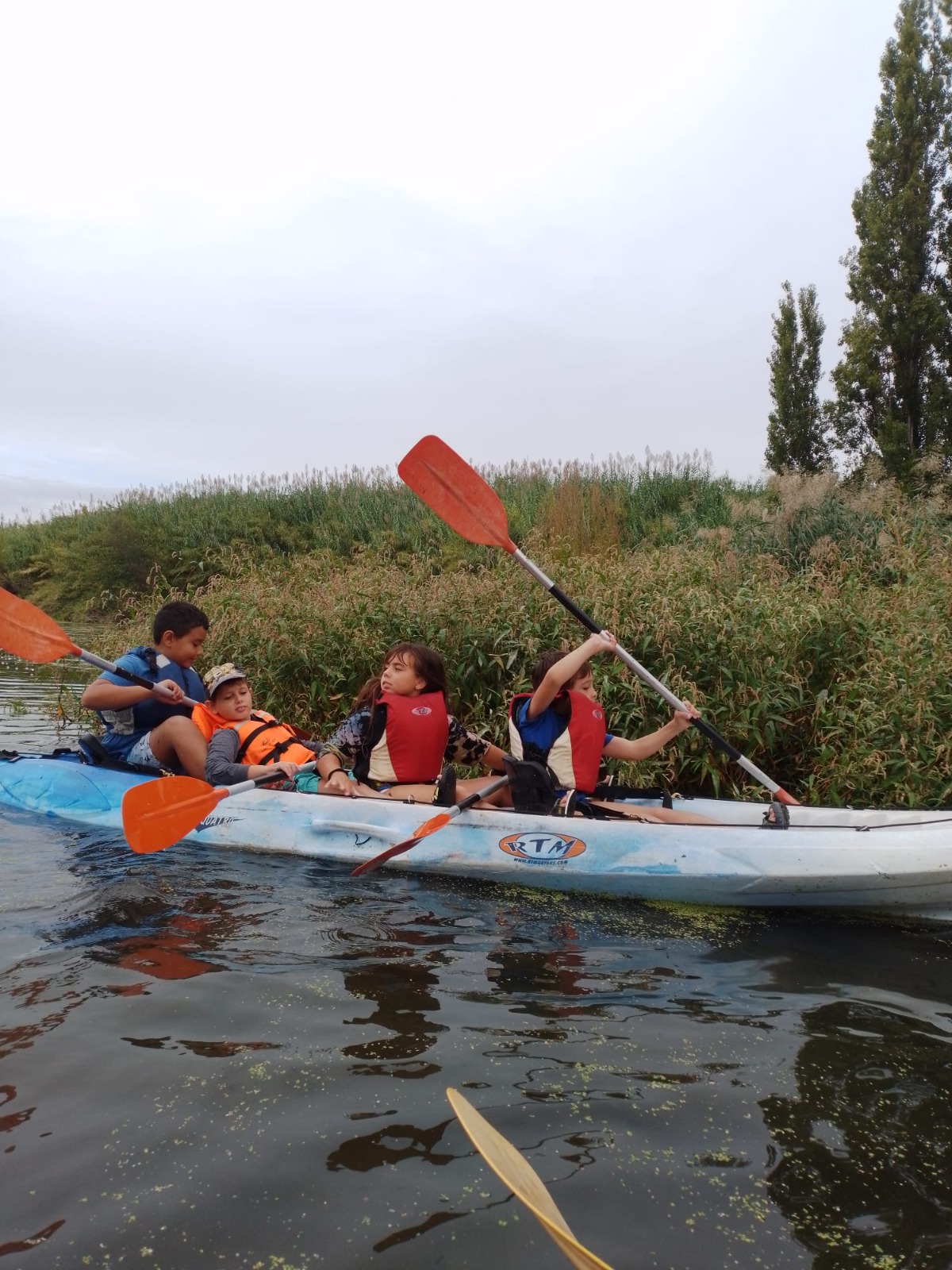 WhatsApp Image 2022-10-14 at 07.27.42 (6)