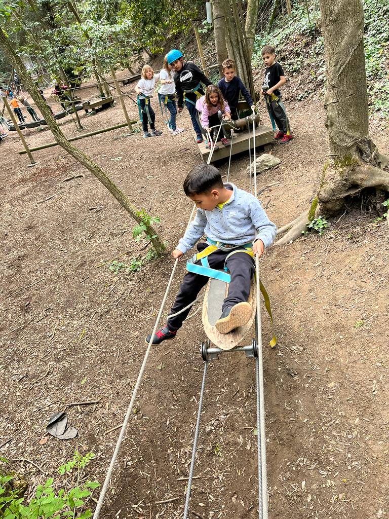 13c96f8b-14b3-4676-91e4-f926ab59e462