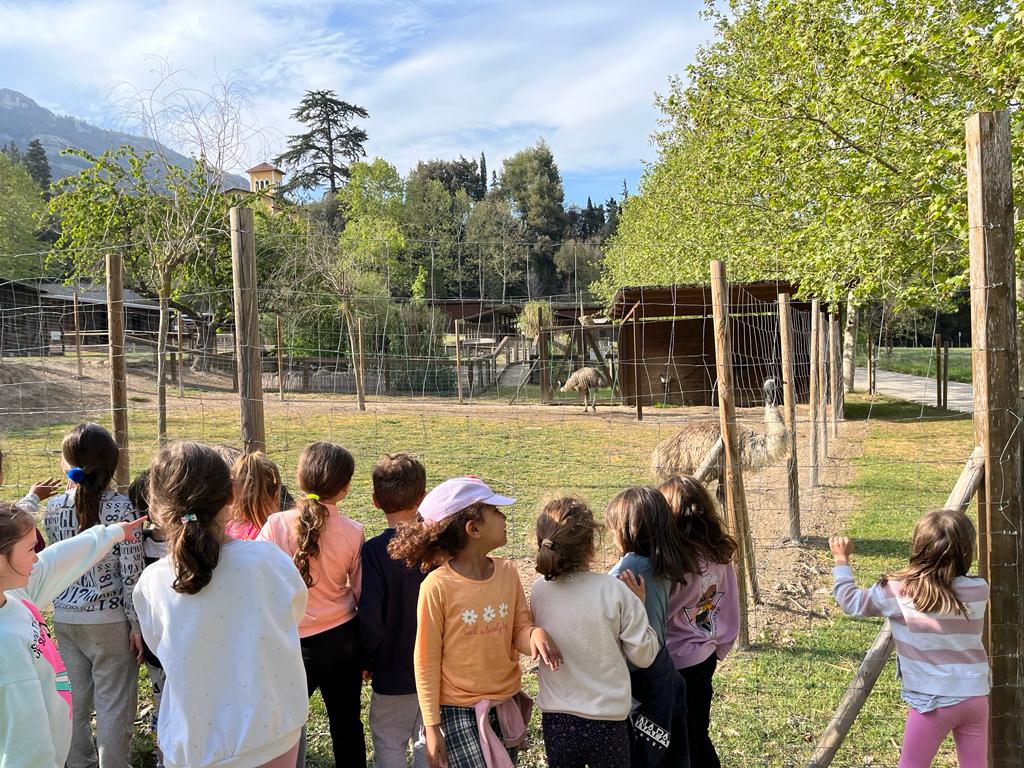 56425938-cc97-42cf-8ea0-abe15cf731c6