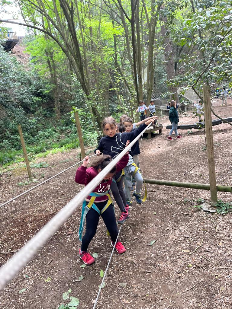 5e0d001c-dc43-481e-b185-921f6aacd07c