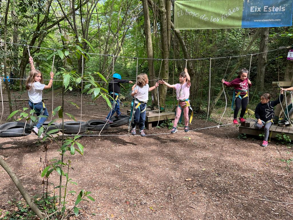 6f967903-7fce-4dfa-87c6-53d8ca048c04