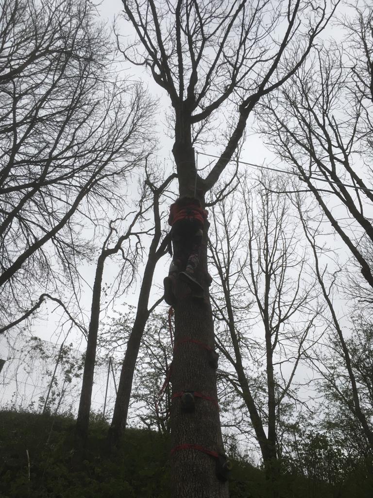 PHOTO-2023-04-27-07-09-12