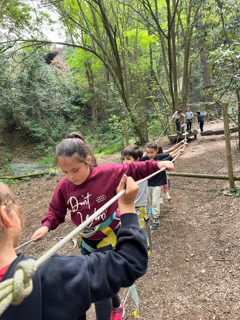 cf5bb14e-95bb-4c6d-9a61-33ab0220aaf0