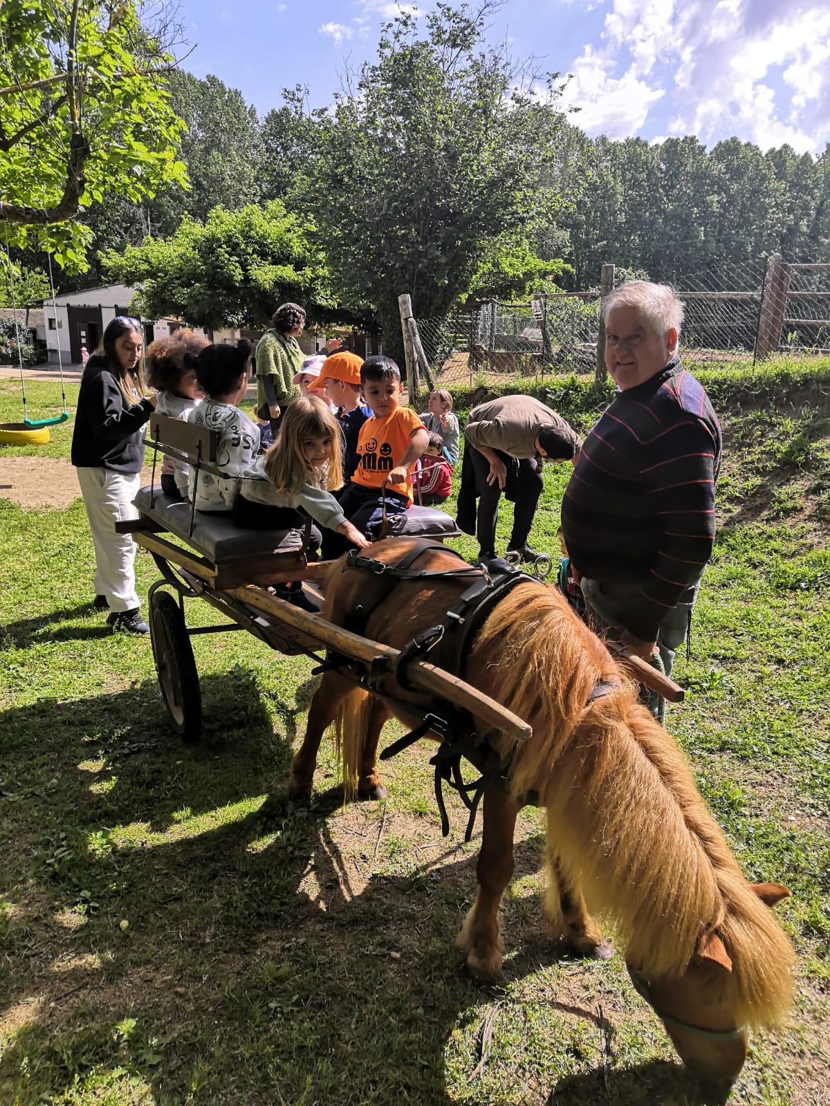 WhatsApp Image 2024-05-29 at 11.15.51