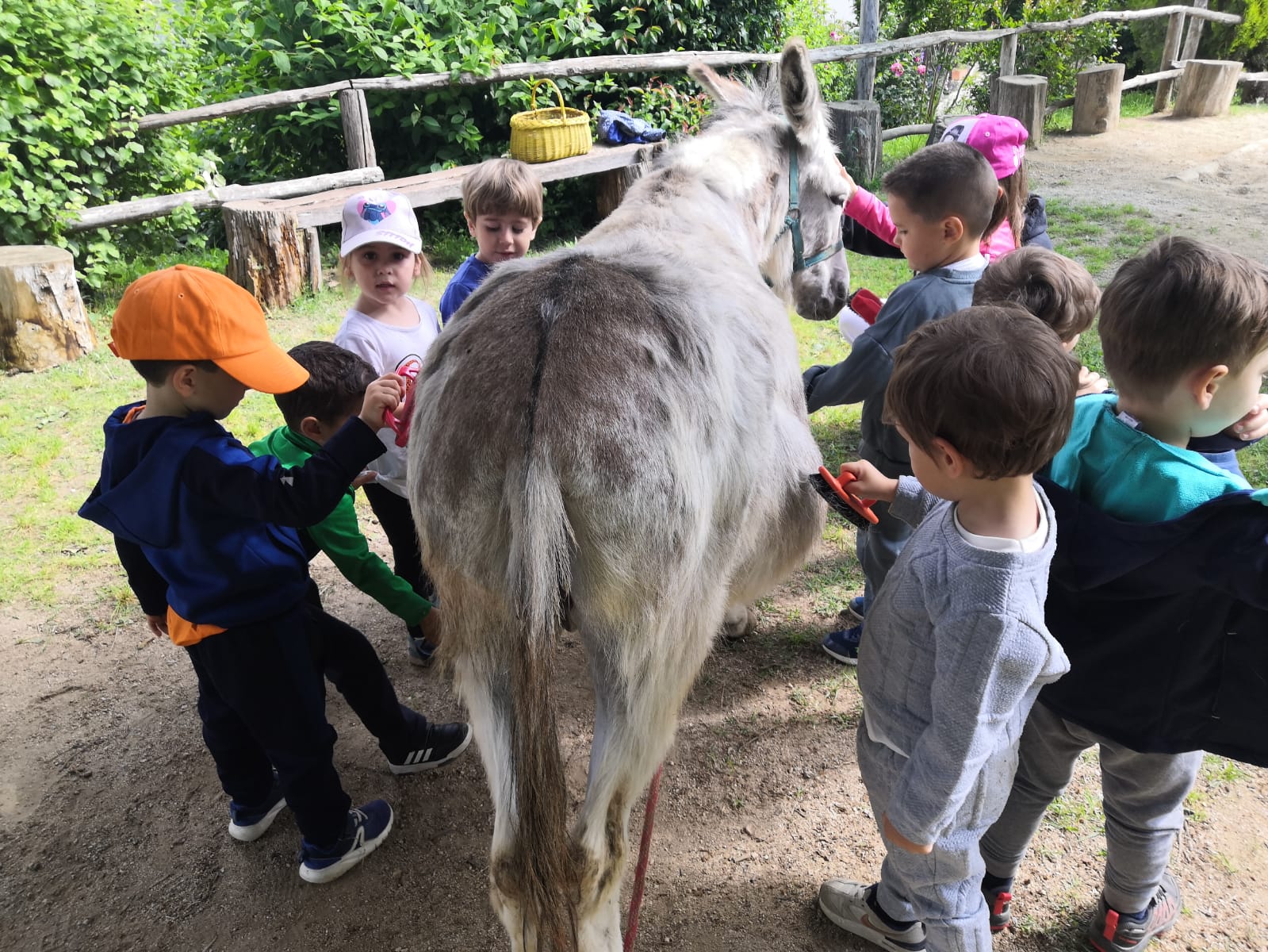 WhatsApp Image 2024-05-29 at 11.17.05