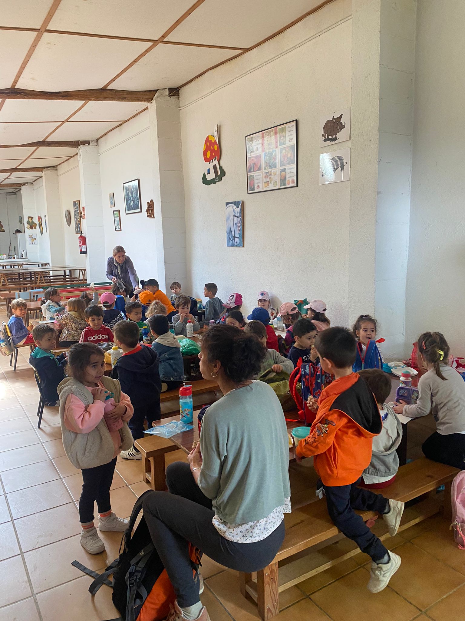 WhatsApp Image 2024-05-29 at 13.58.04