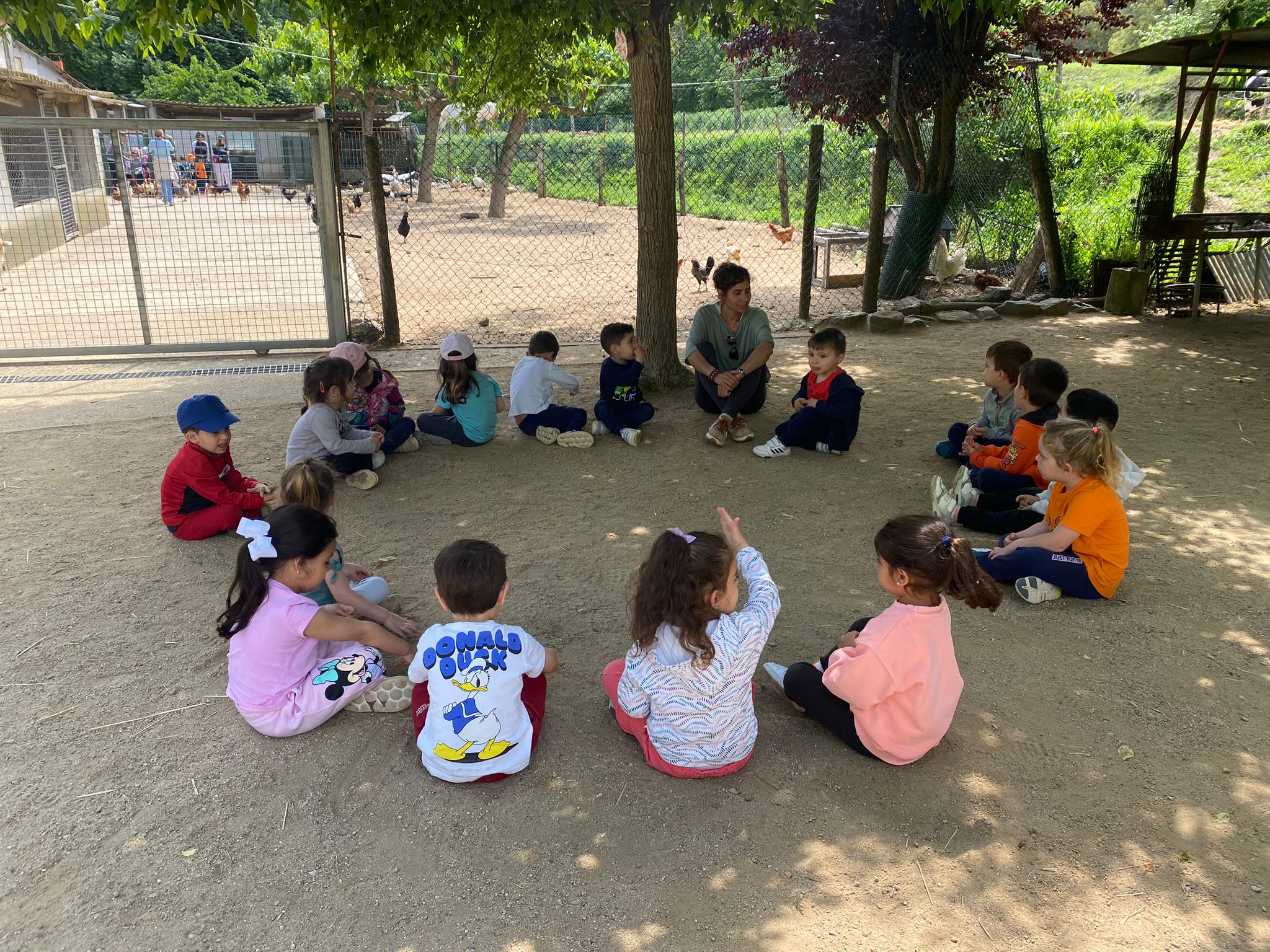 WhatsApp Image 2024-05-29 at 14.41.37