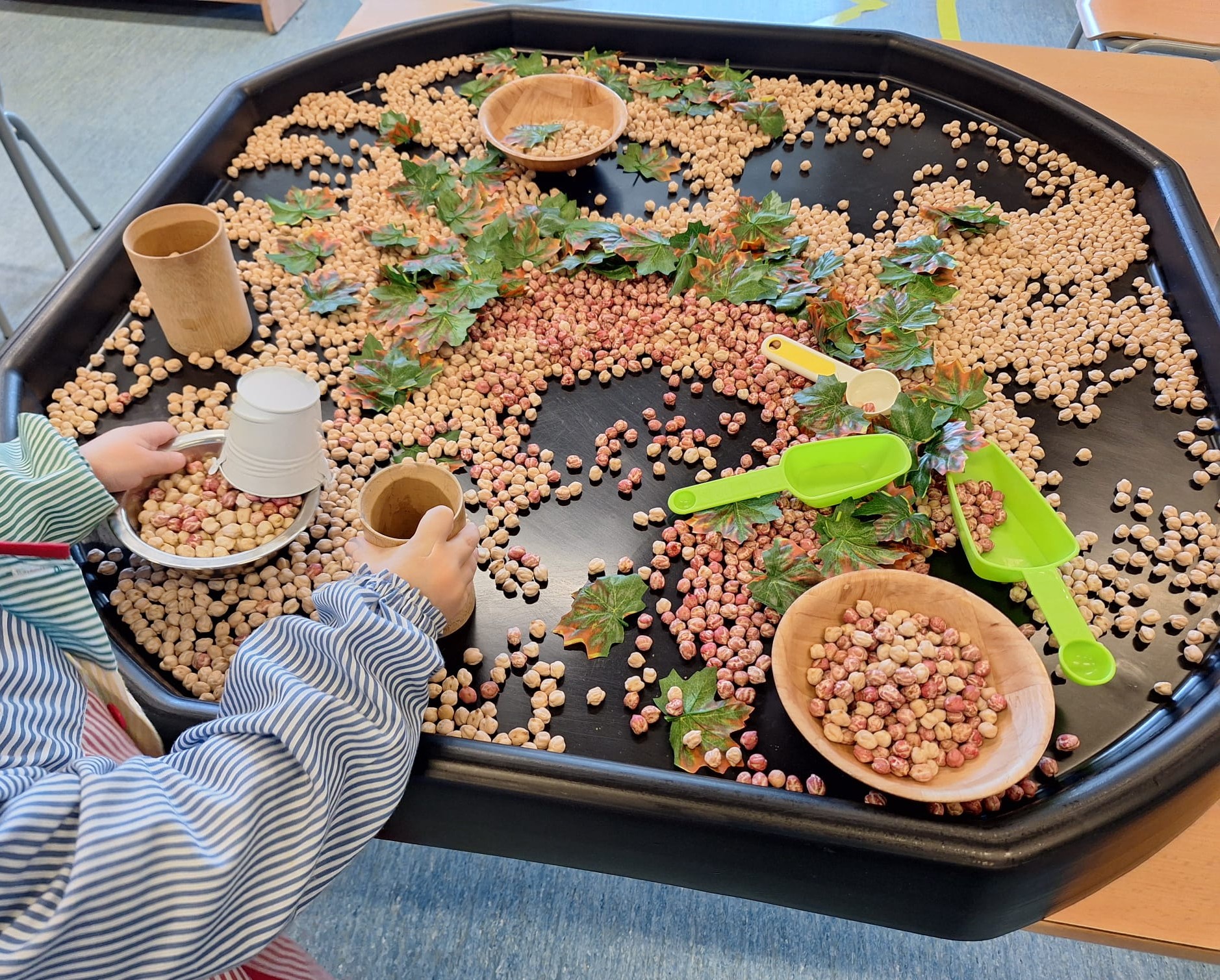 IMG-20241010-WA0007~2