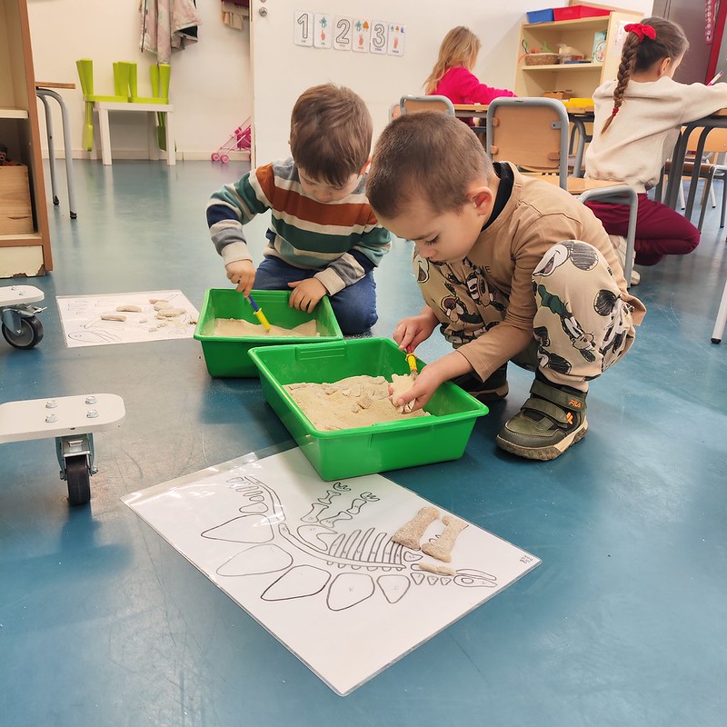 54283711372_1657911c41_c