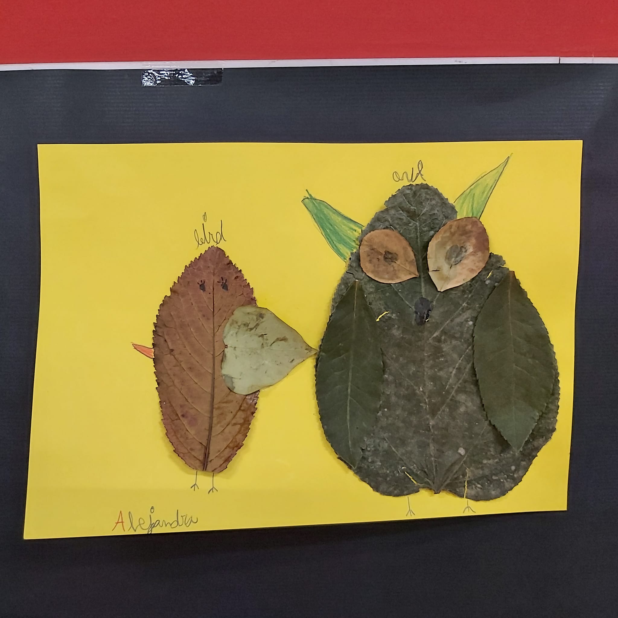 324ff5a2-1f60-4fce-b5b9-4bdb69a1b5f9