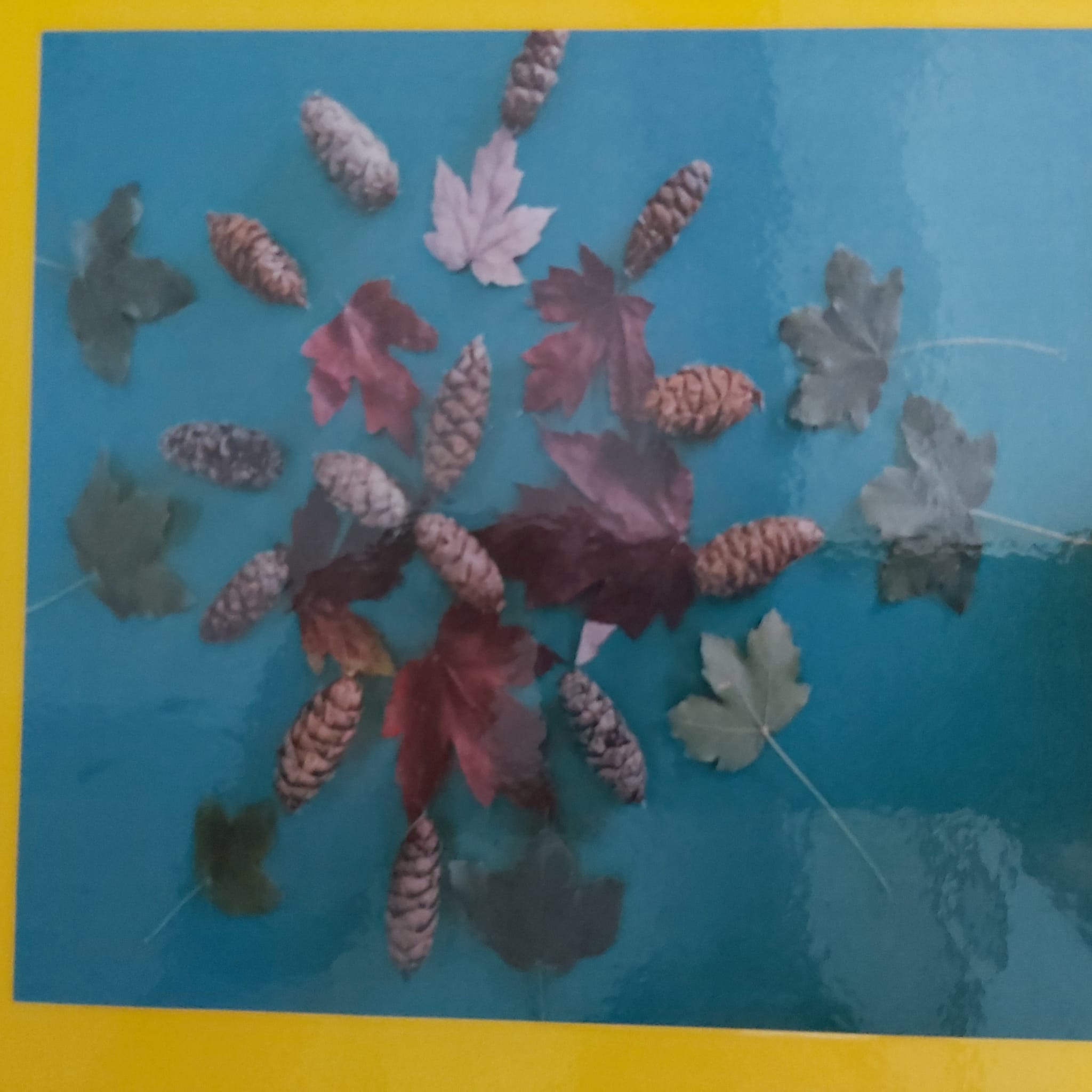 42626a7d-d806-4d1e-9ab4-c924f77bc517