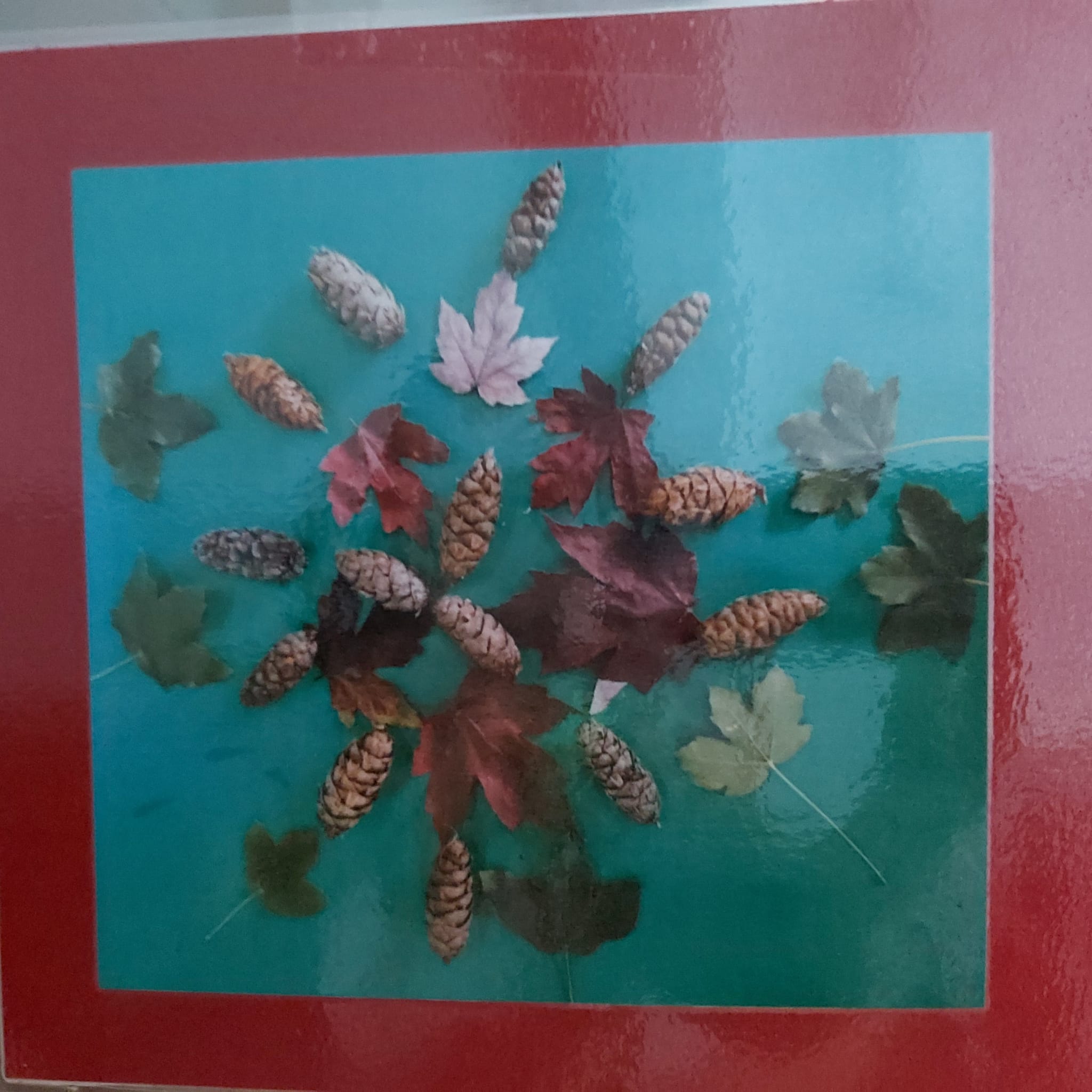 5fd11ac4-e56a-4946-b987-14f95a3206bc