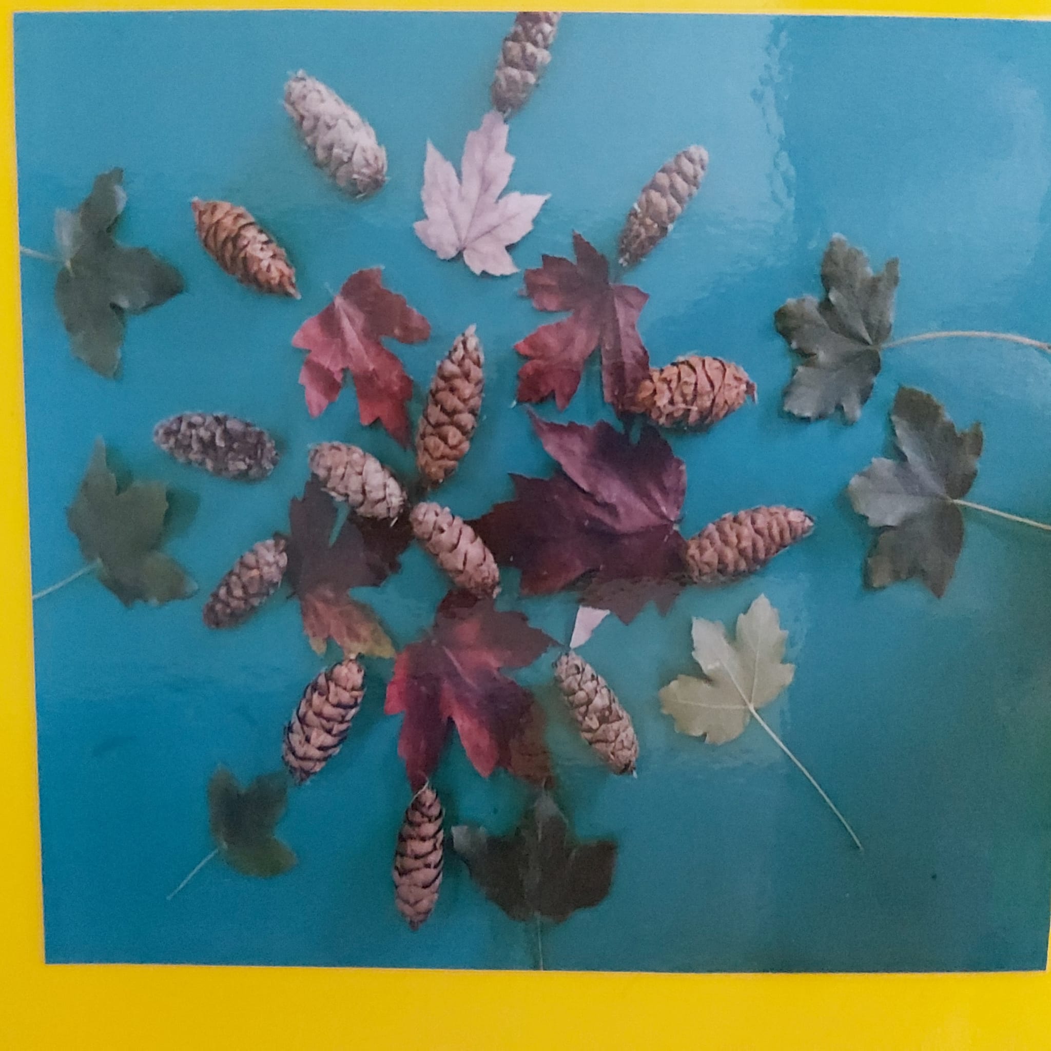 6fa45695-9d79-483b-bfbb-f9bca80f1550