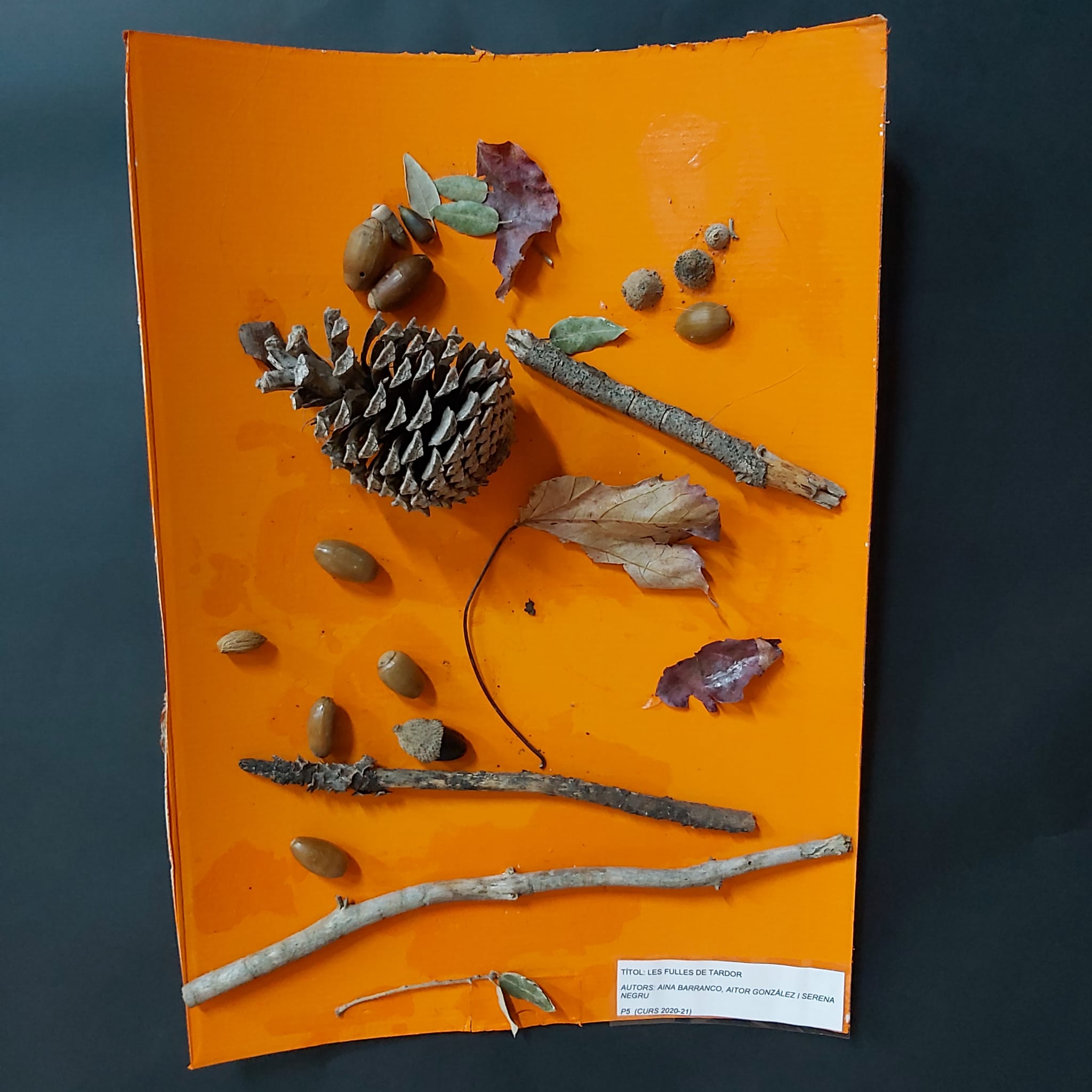 7521a340-f43e-4f0e-ad52-3385ef1ec983