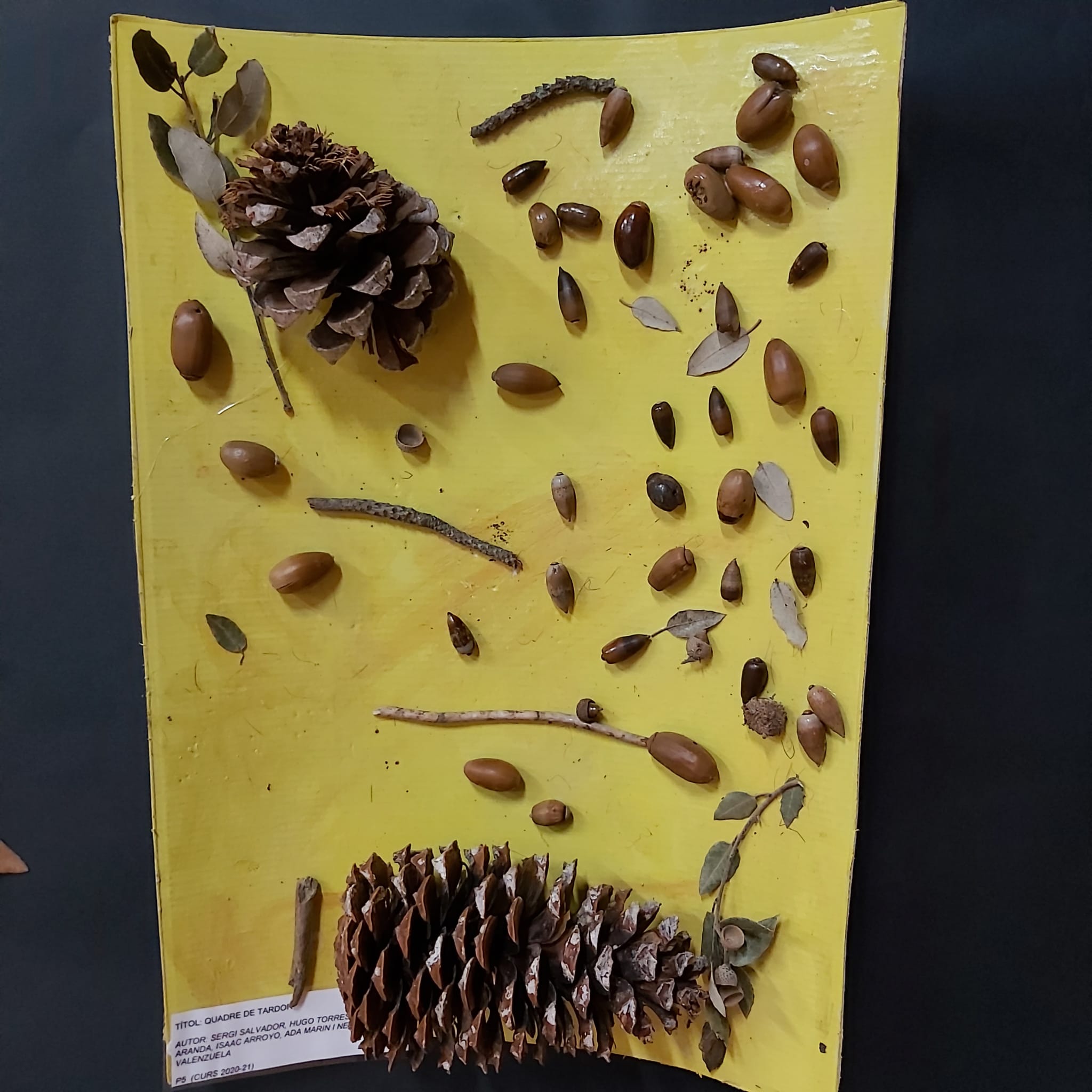 c53692a7-a833-449b-a4c4-8a650382c215