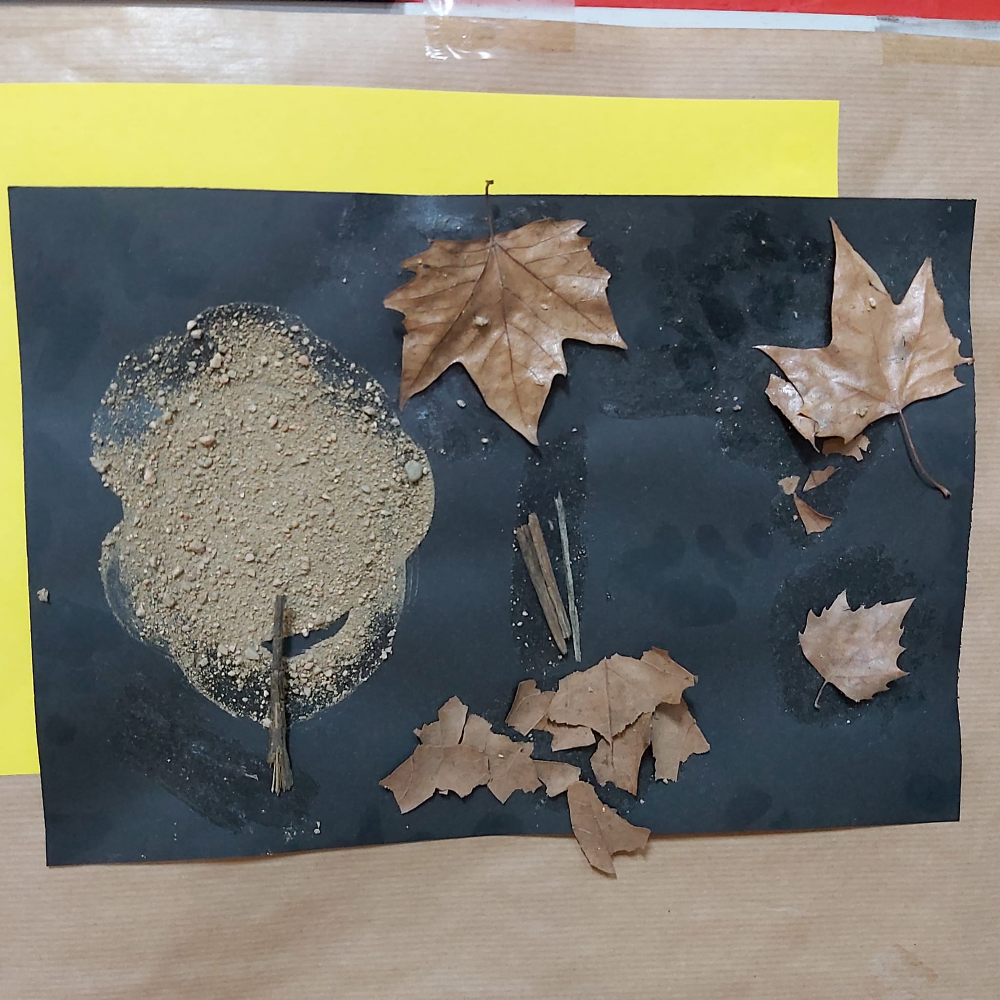 dfedf376-8f6b-45d8-b61e-fa4b5af62cb3