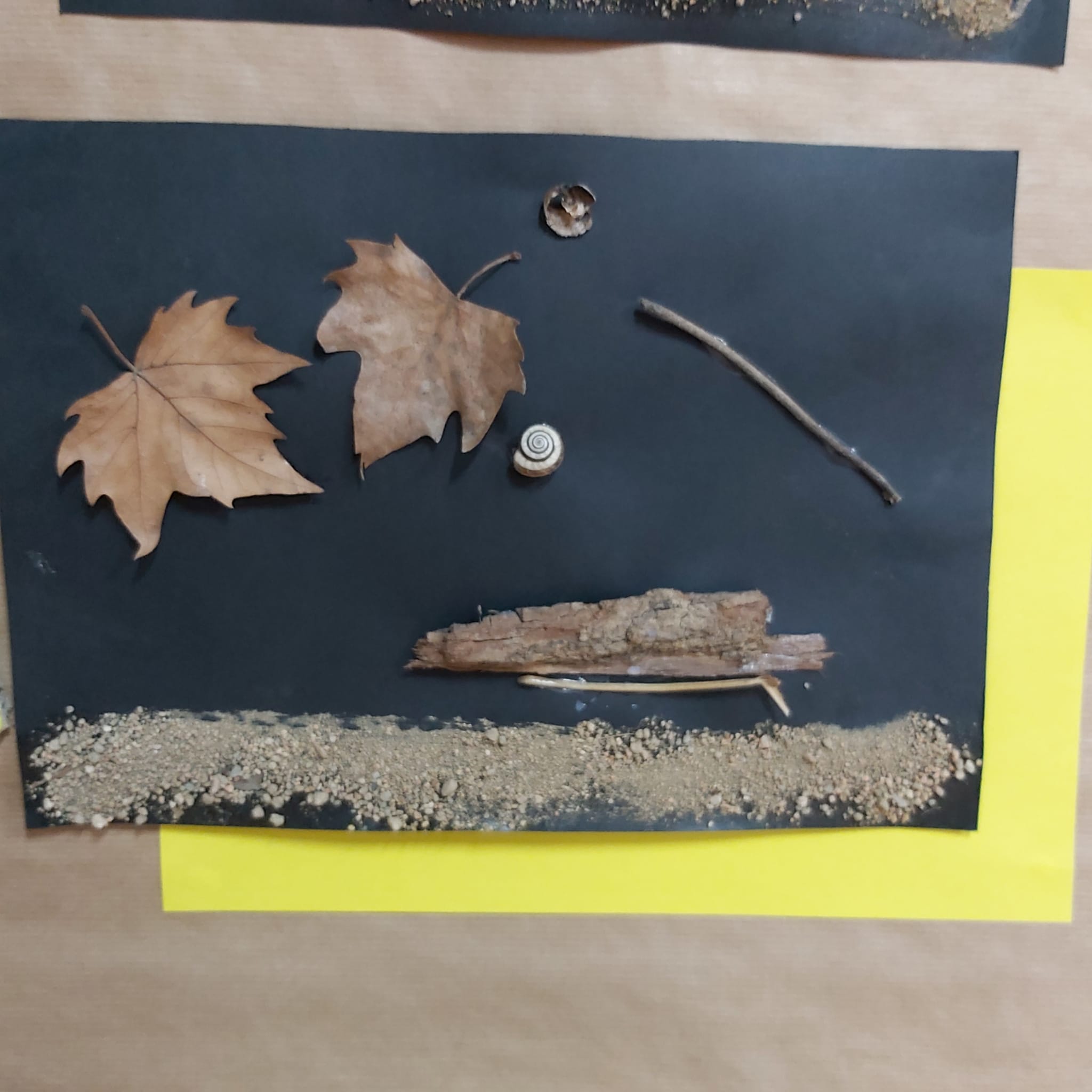 e5752a8a-6567-4131-916b-3fe1cad4d375