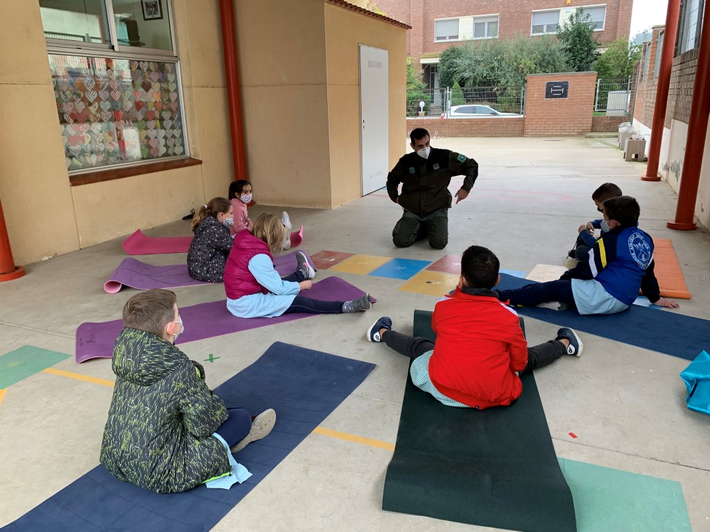 AGENT RURAL 2n (Medium)