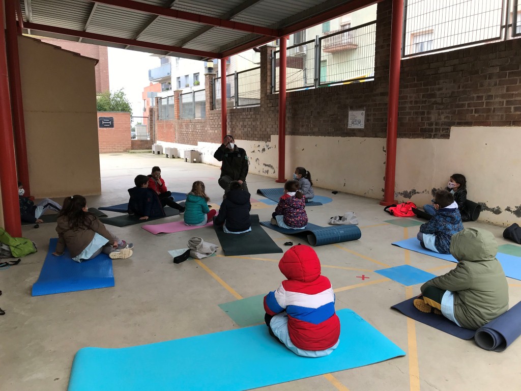 Agent Rural 1er (Medium)