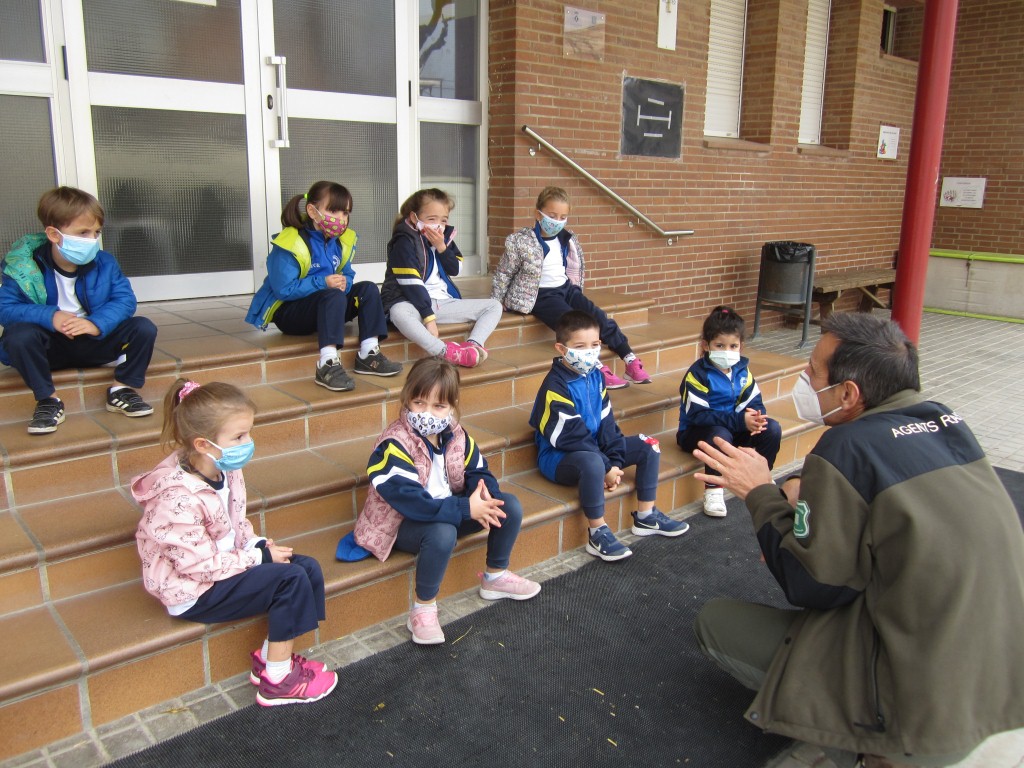 IMG_2749 P5 (Medium)