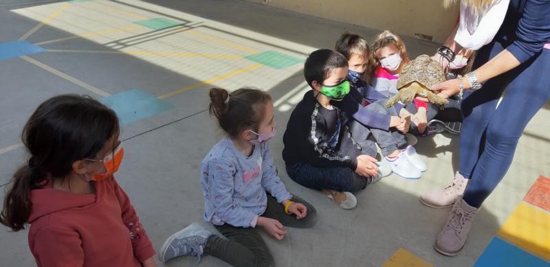 20210311_150742_800x389