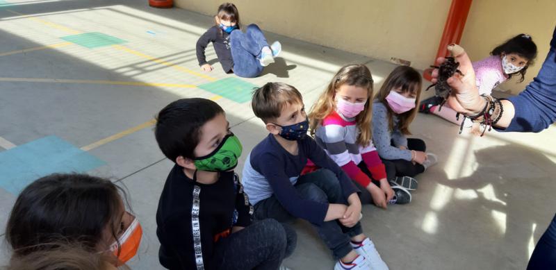 20210311_153427_800x389