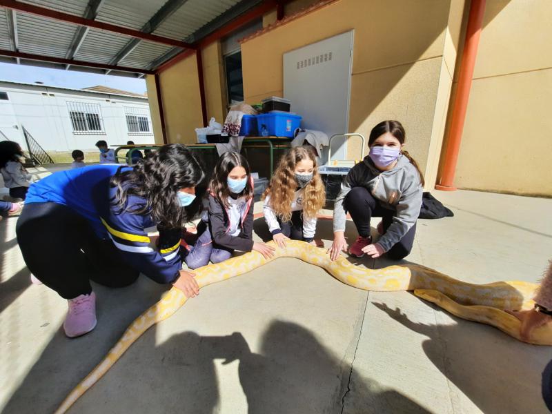 20210312_122341_800x600