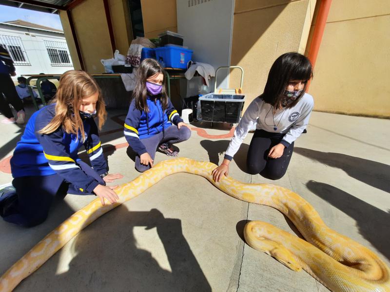 20210312_122601_800x600