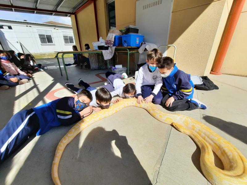 20210312_122739_800x600