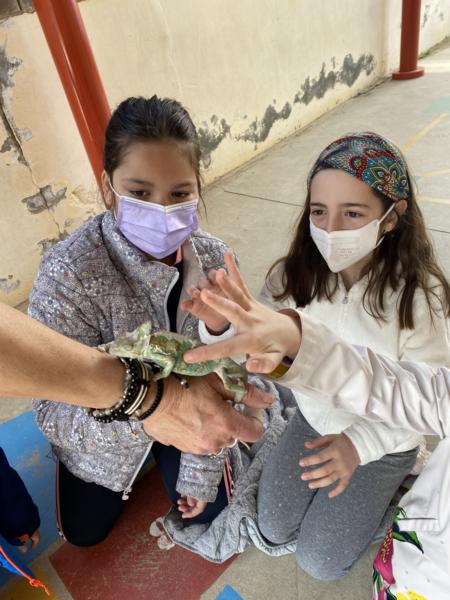 Fitxer_005 (1)_450x600