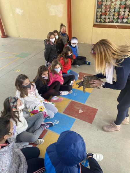 Fitxer_006 (2)_450x600