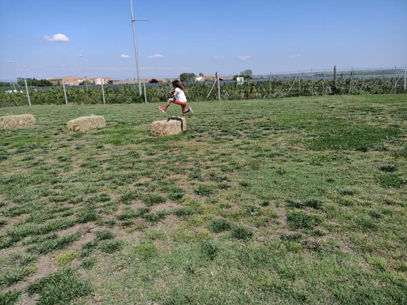 IMG20210423154021_800x600