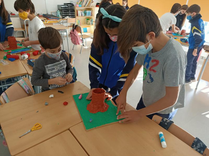 IMG20211129105735_800x600