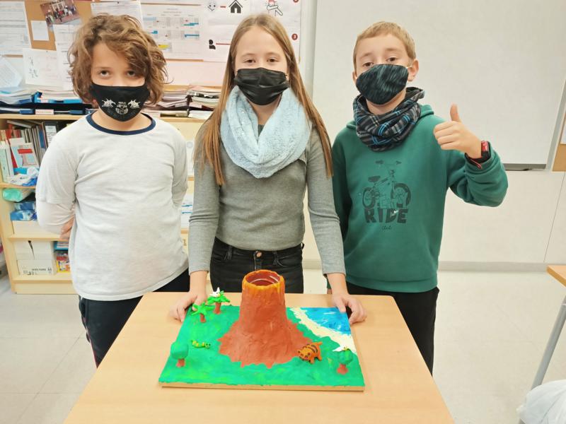 IMG20211201161756_800x600