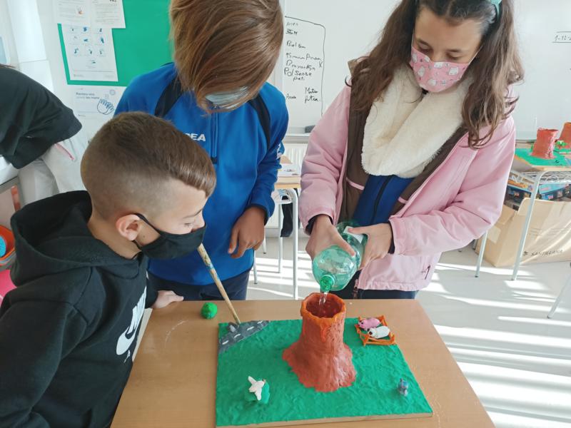 IMG20211213104551_800x600