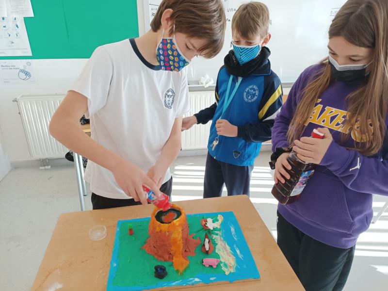 IMG20211213105325_800x600