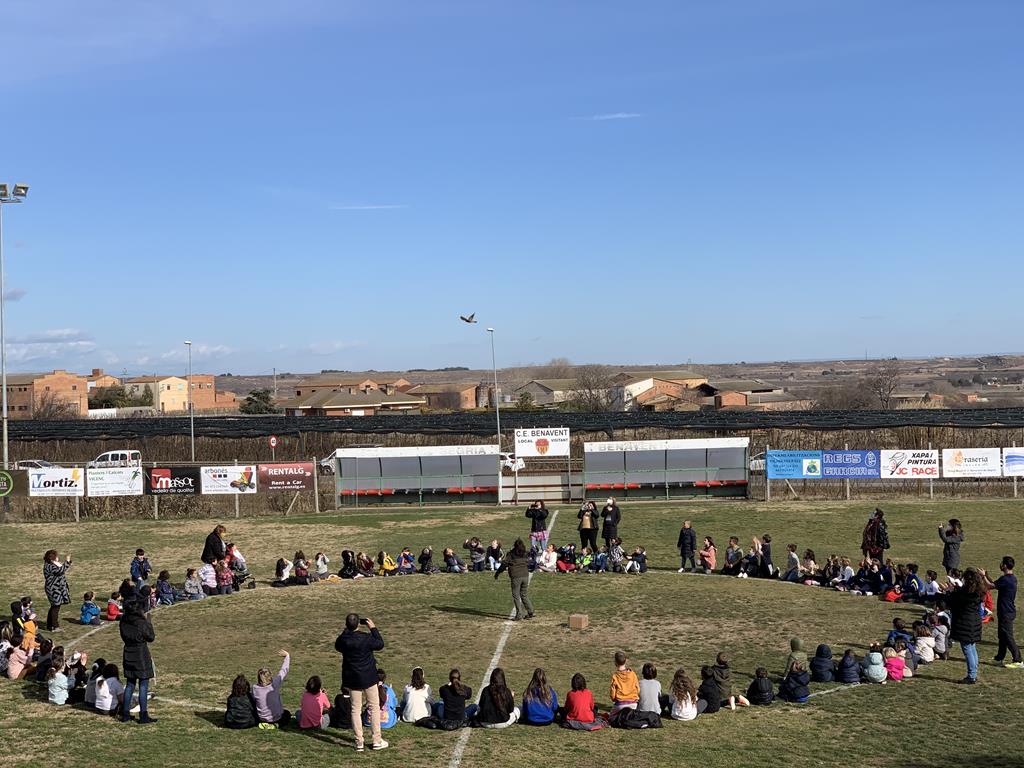 5. Alliberament Xoriguer (Copy)