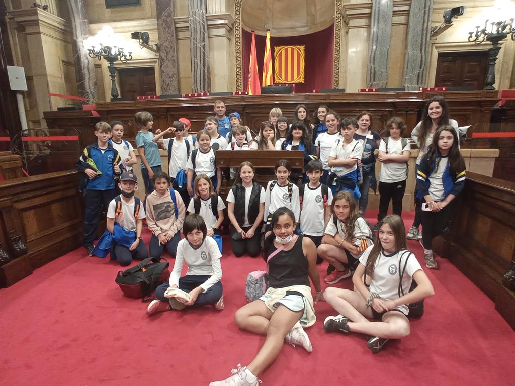 1651560120003 (Copy)