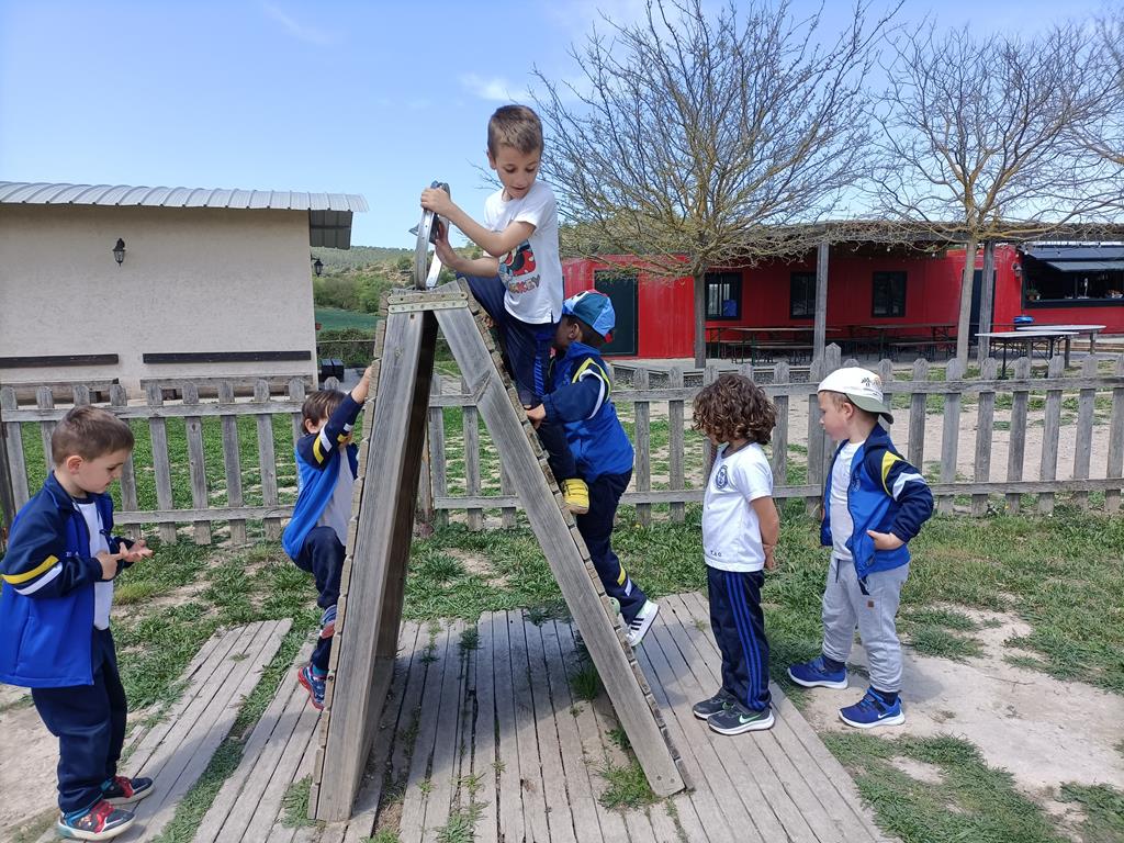 IMG20220429130351 (1) (Copy)