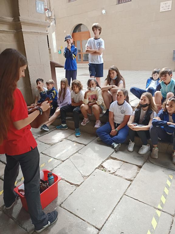 IMG20220502110225 (Copy)