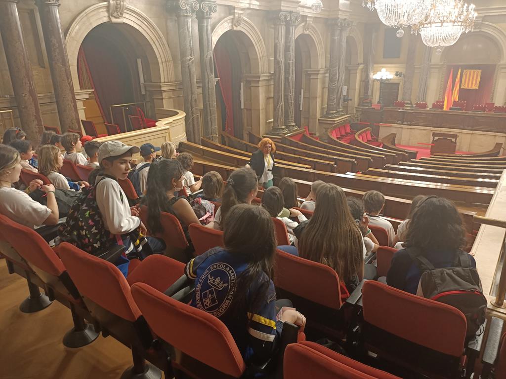 IMG20220502151058 (Copy)