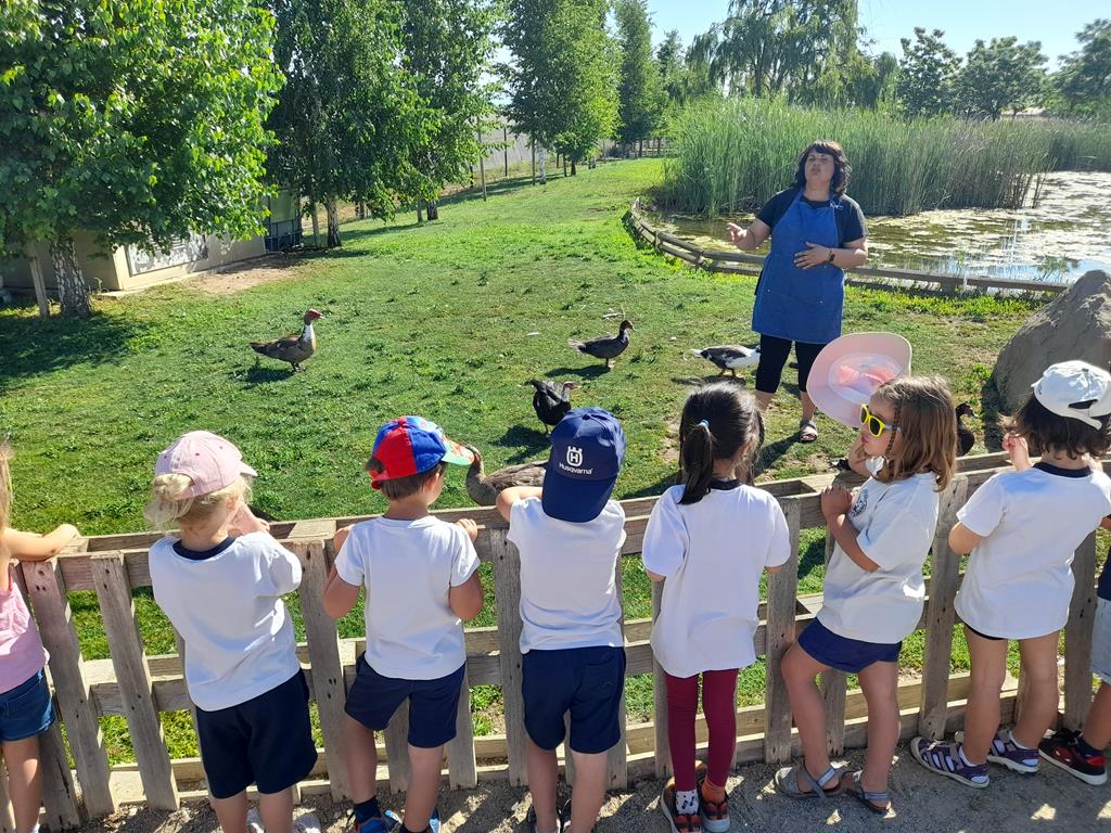 20220601_100016 (Copy)