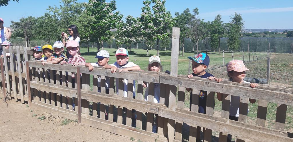 20220601_102010 (Copy)