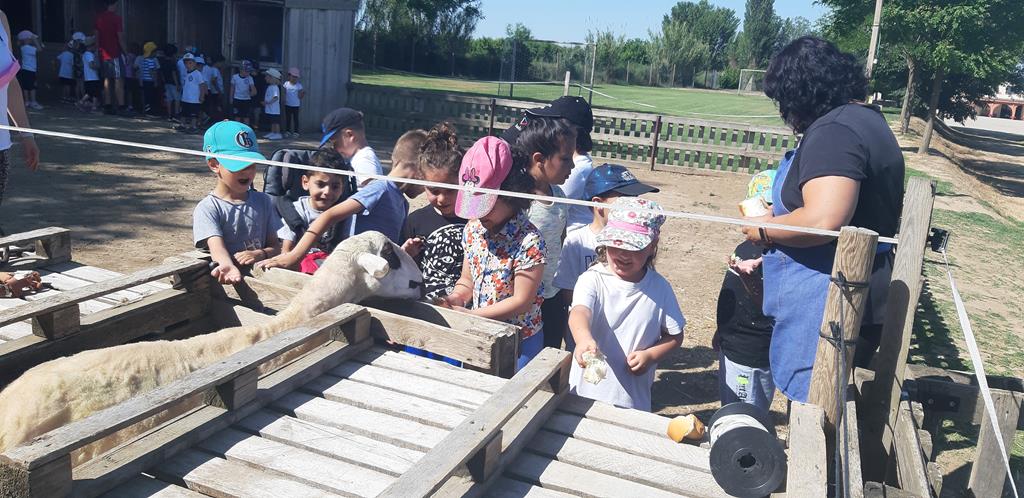 20220601_103628 (Copy)