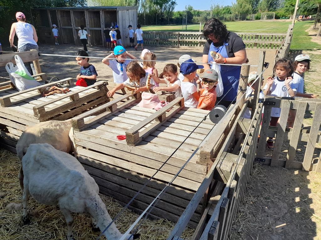 20220601_103852 (Copy)