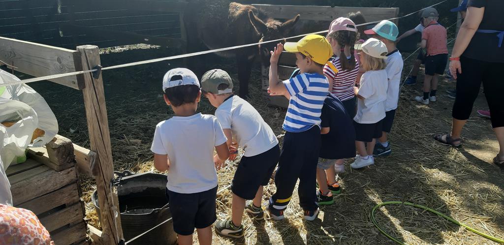 20220601_104237 (Copy)