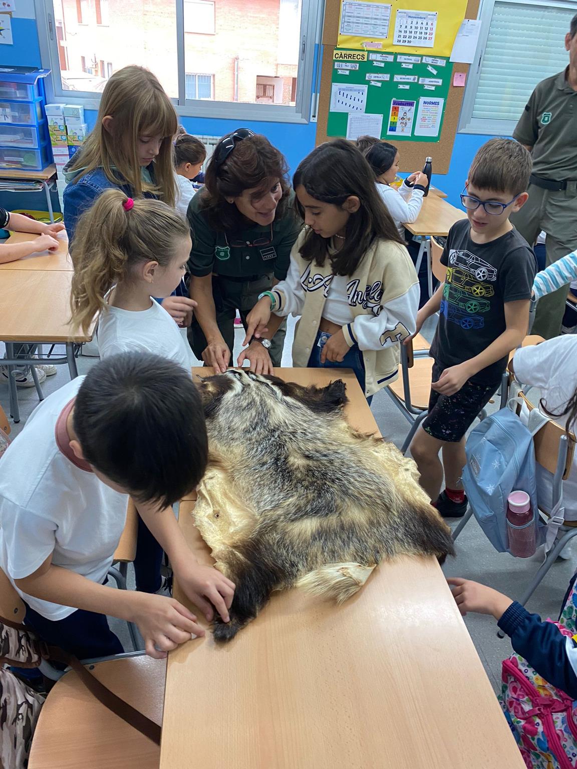 IMG-20221107-WA0017 (Copy)