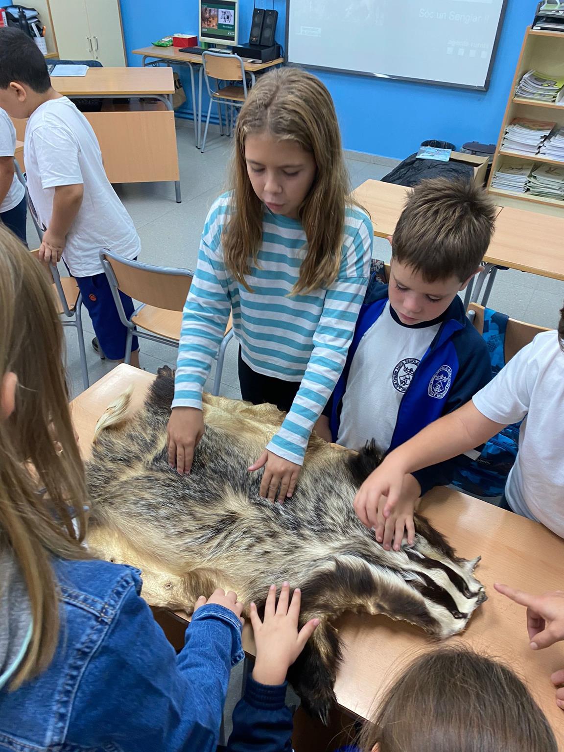 IMG-20221107-WA0018 (Copy)